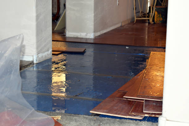 Professional Basement Flood Cleanup technician working in Adams, WI